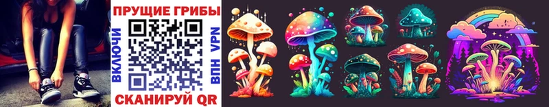 Псилоцибиновые грибы Psilocybe  купить закладку  Усть-Лабинск 